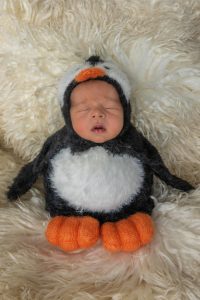 רונית-דיבון-דיווה–צילומים-גדולים-מהחיים-צילומי-ניובורן