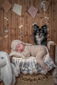 רונית-דיבון-דיווה–צילומים-גדולים-מהחיים-צילומי-ניובורן