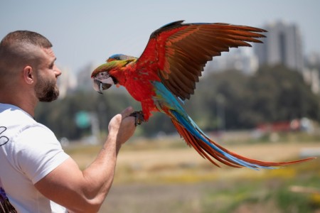 רונית דיבון-הדביבונית צלמניה משפחתית צילומי תדמית
