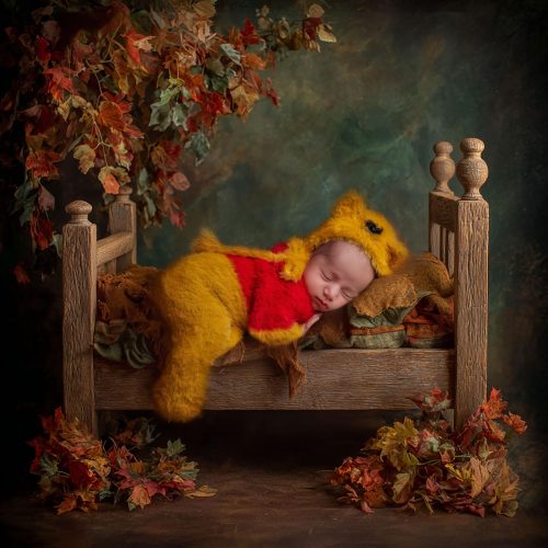 רונית-דיבון-דיווה-צילומים-גדולים-מהחיים-עריכה-אומנותית-רקעים-דיגיטליים